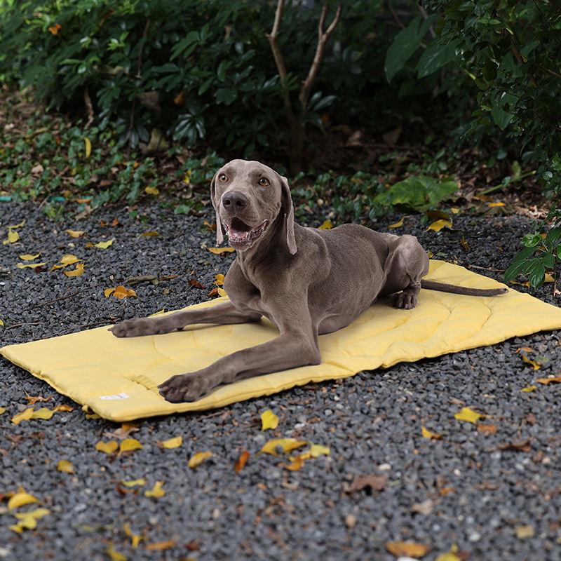 เสื่อสัตว์เลี้ยงแบบพกพาพับได้อ - Outdoor Camping Dog Fence บทวิจารณ์และราคา